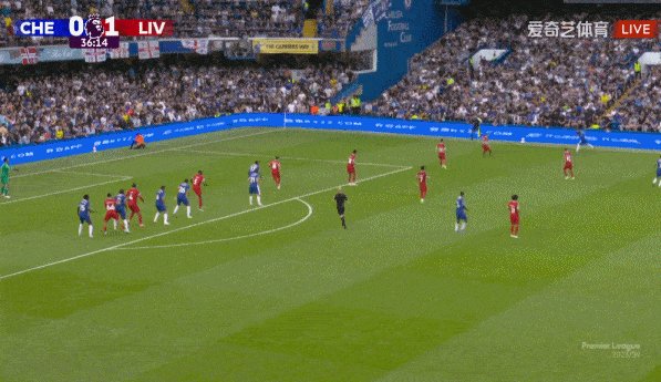 1691970560848068952.gif 1比1.gif